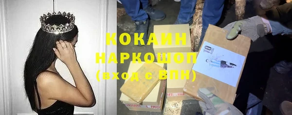 МДПВ Богородск
