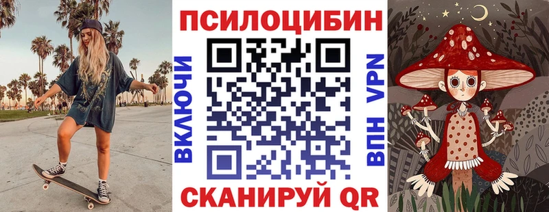 Купить закладки  Петрозаводск  Псилоцибиновые грибы Magic Shrooms 