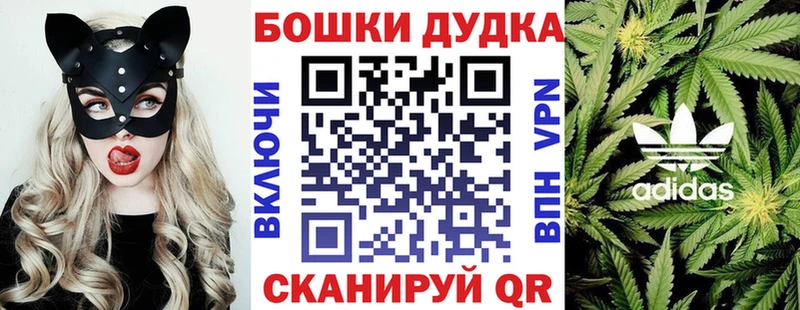 Купить закладки  Петрозаводск  Конопля Ganja 